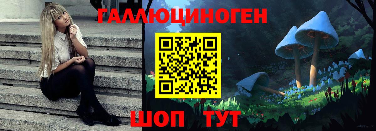 Галлюциногенные грибы GOLDEN TEACHER  Вход с VPN  даркнет сайт  Жуковский 
